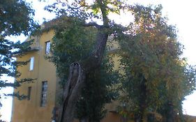 Albergo Ristorante Ragno D'oro  3*